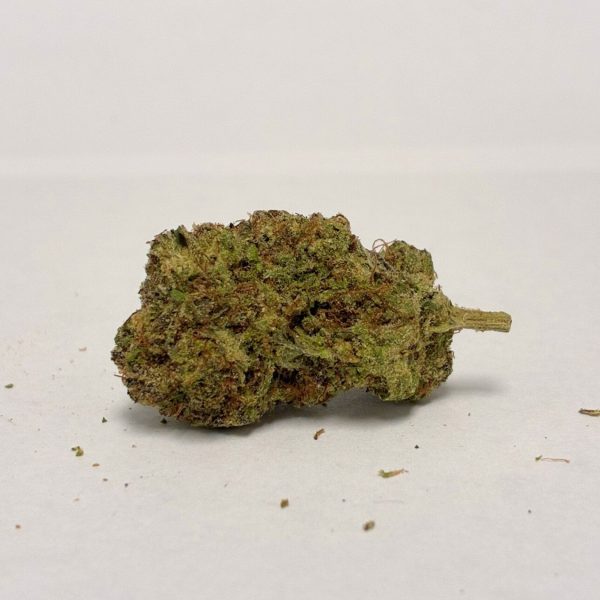 Jelloz - 1OZ