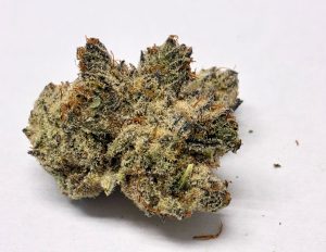 Secret Weapon - 1OZ